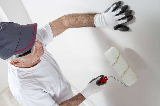 Best Mold Odor Removal Services  in Pleak, TX